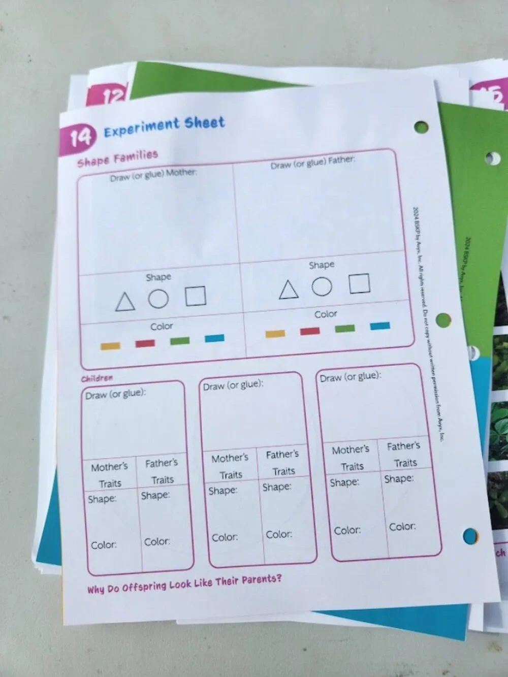 NEW BookShark Book Shark Science B Experiment Paper Packet Worksheets Homeschool